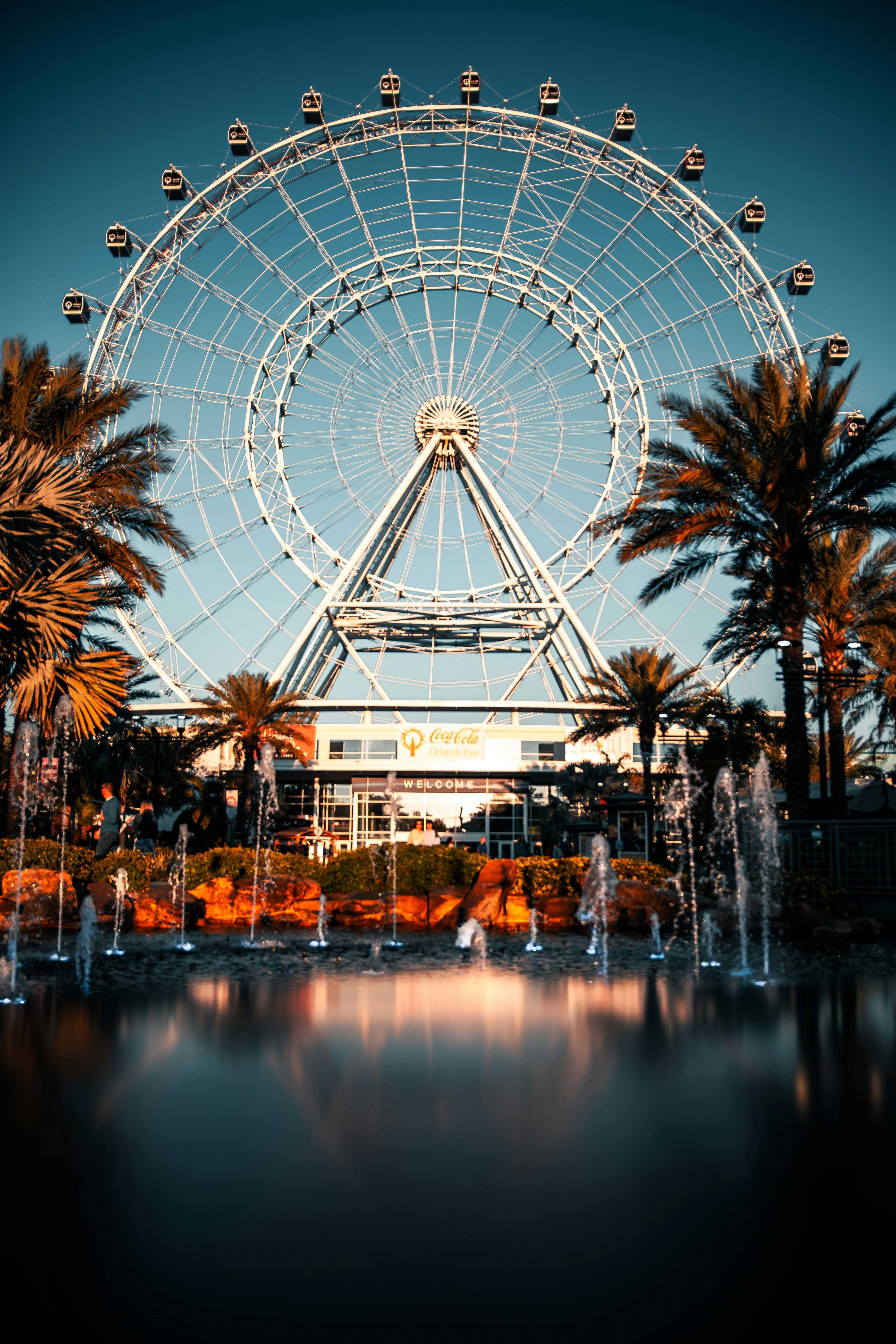 Orlando ferris wheel