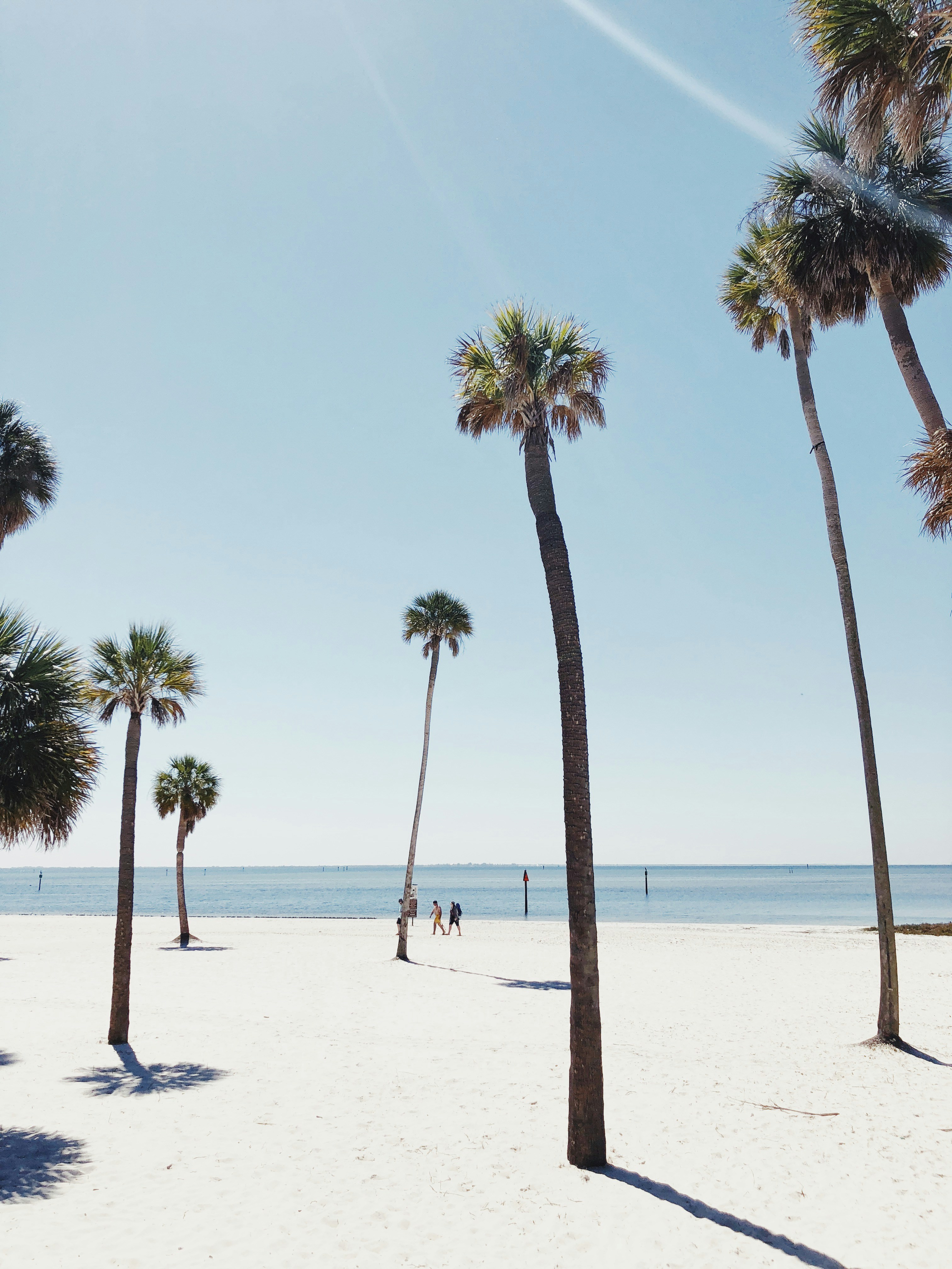 Tampa beach